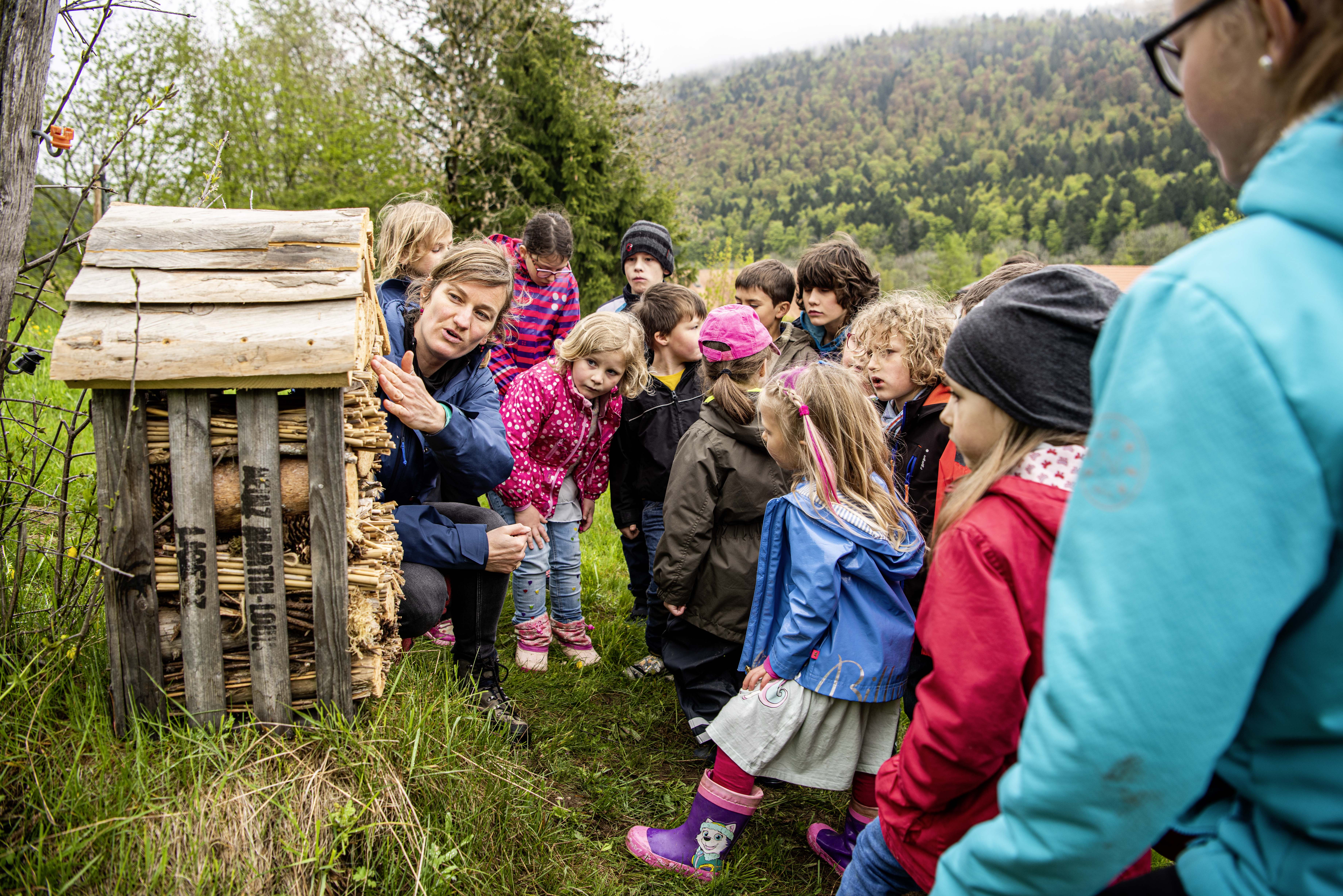 Une nouvelle animation scolaire sur les insectes