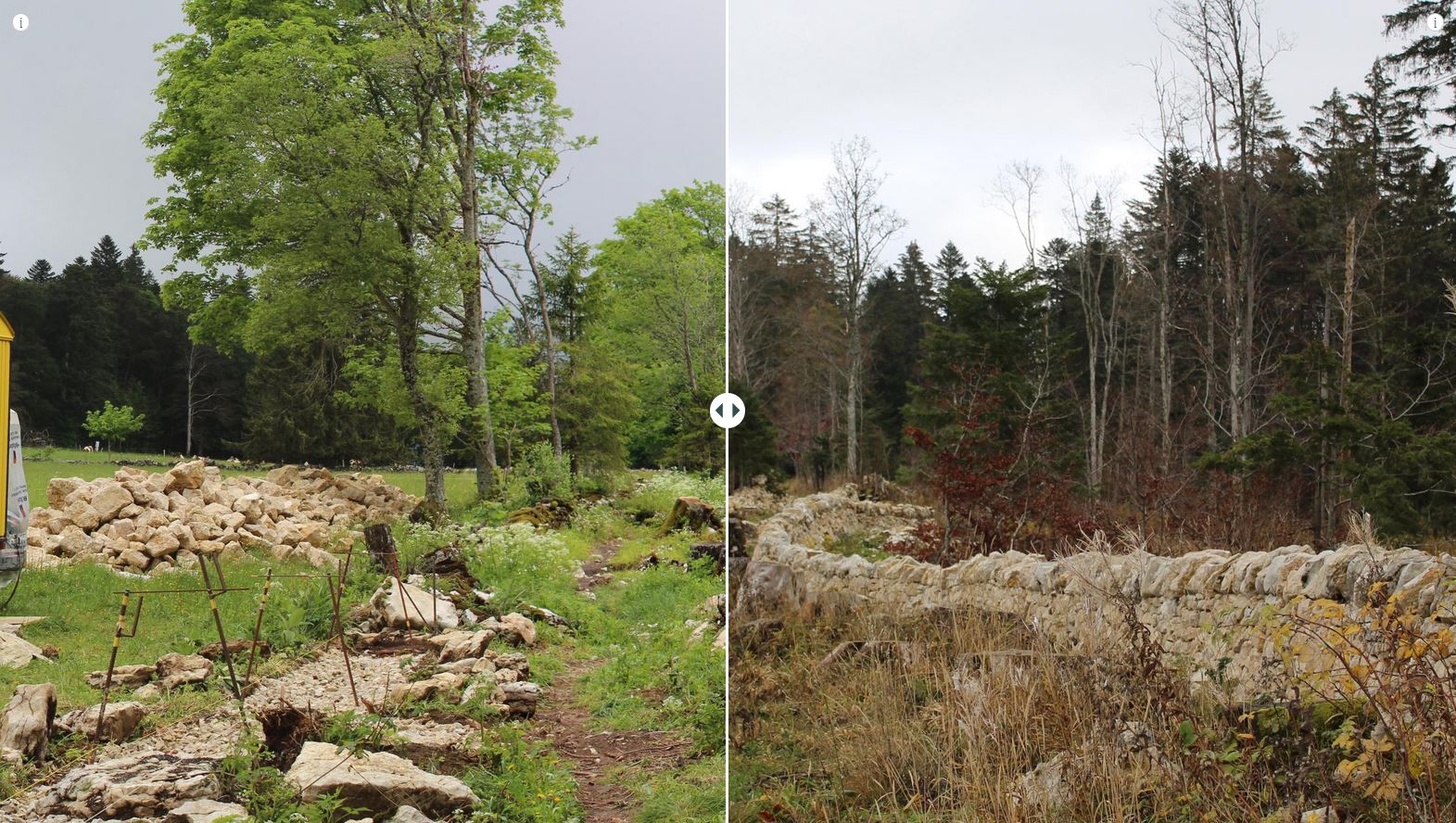 «Boviducs» – Schätze der Neuenburger Landschaft