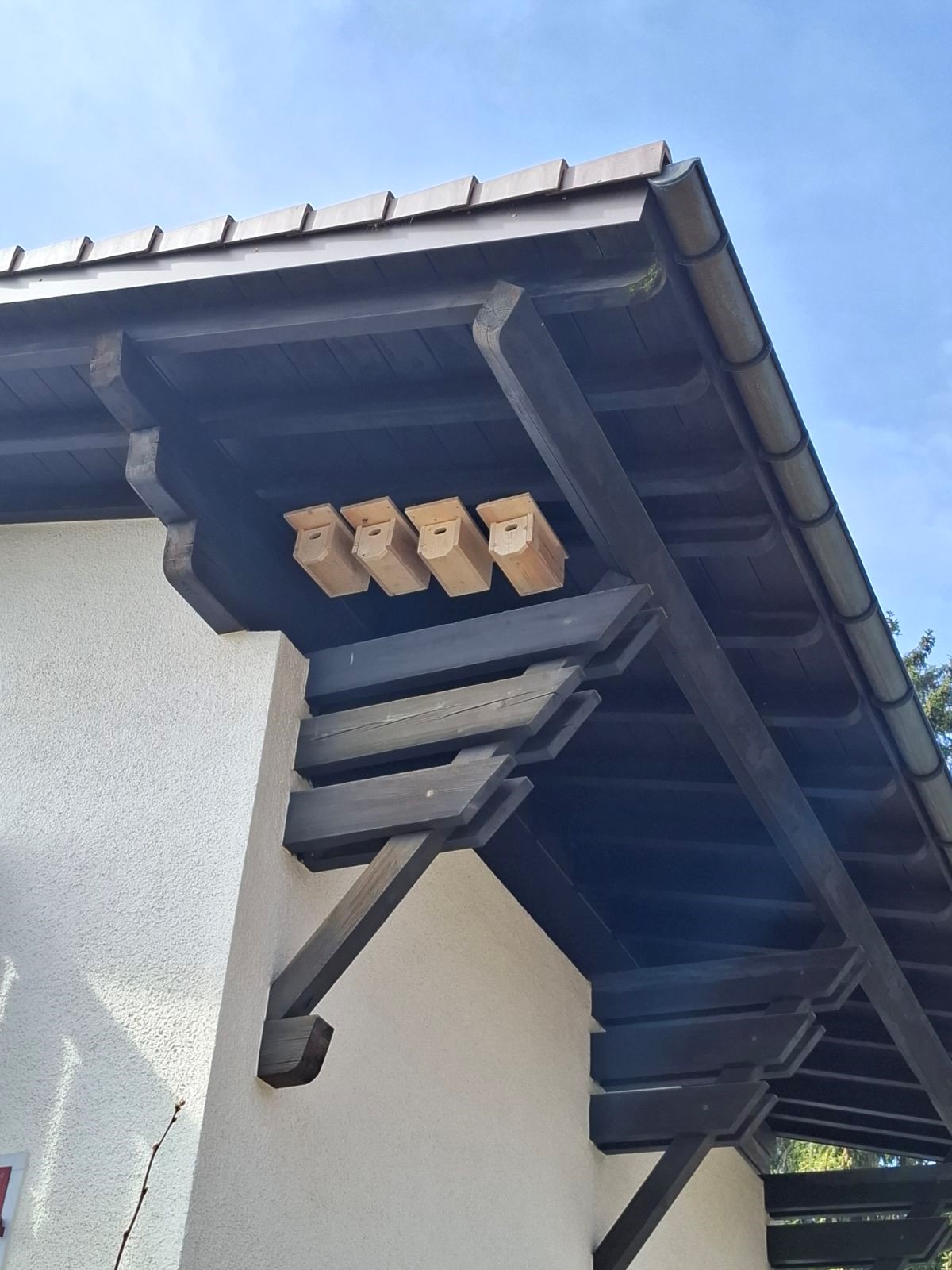 Anbringen von Nistkästen in Leubringen-Magglingen