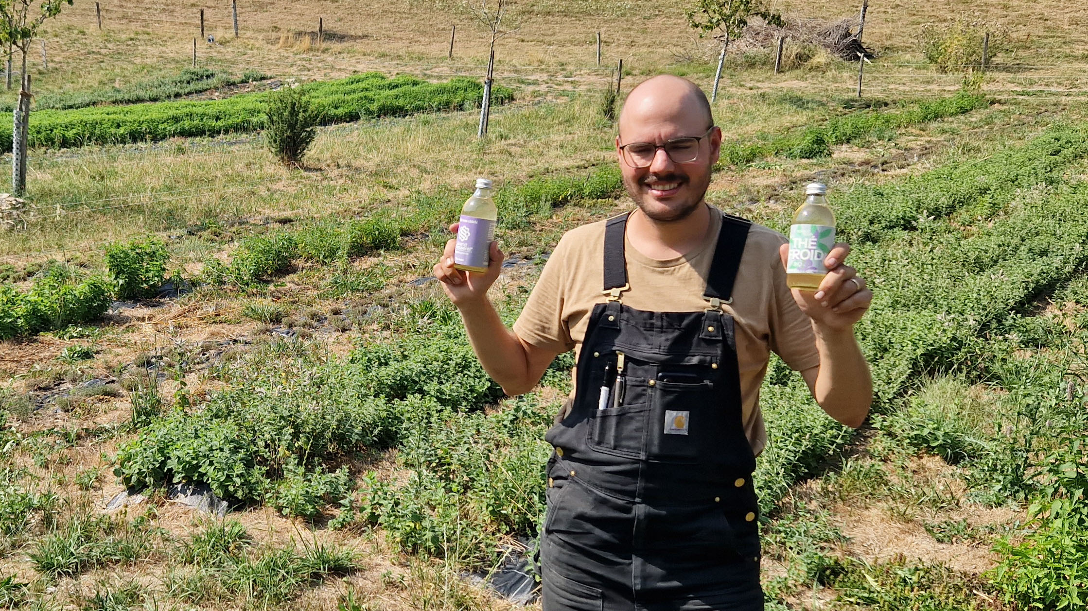 Mega Bon Thé Froid de Souboz Drinks